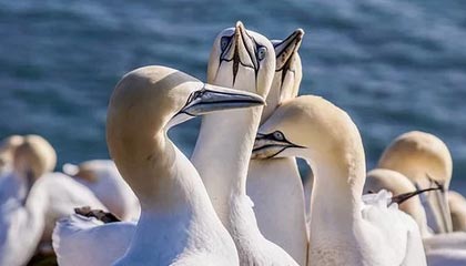 世界杯app下载-热刺“二人转”哑火蓝狐反击犀利 穆帅套路被摸透？